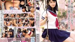 [DDK-174] [BAD D174] After I Got Cherry Popped By My Little Sister